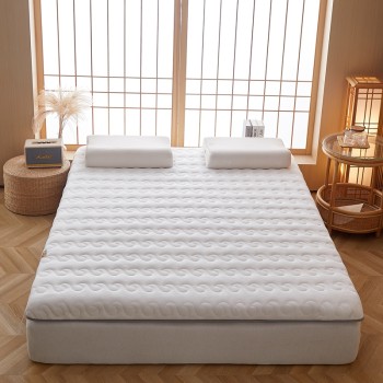 2022 new milk velvet sponge coconut palm mattress single/double side latex layer filled 6cm/10cm mattress