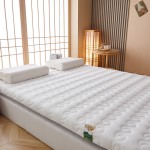 2022 new milk velvet sponge coconut palm mattress single/double side latex layer filled 6cm/10cm mattress