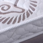 2022 new 3E environmentally friendly coconut palm latex mattress scene 2S191S191/5 points brown 2 points latex 10cm